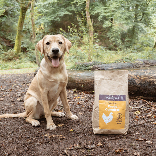 Premium Puppy